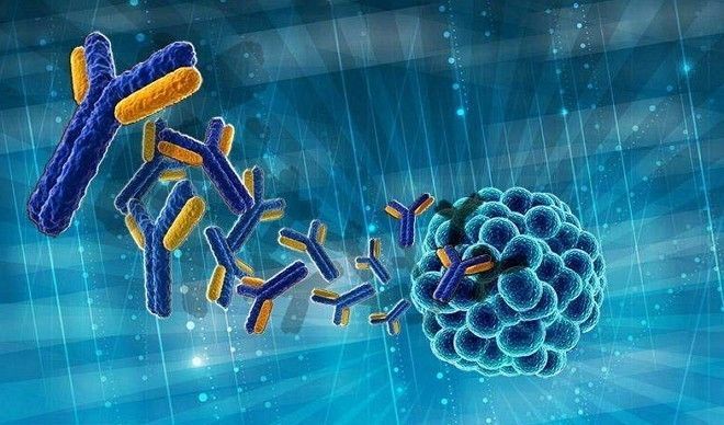 抗肿瘤生物药研发